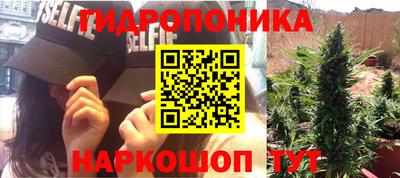 индика Малгобек
