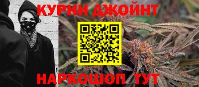 индика Малгобек